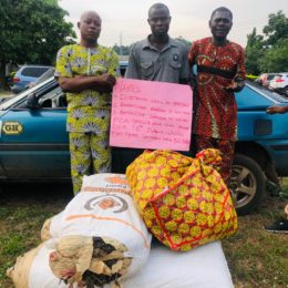 NURTW Chairman, 3 Others Arrested for Drug Trafficking in Ondo, Benue