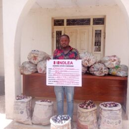 NDLEA Intercepts N1.1billion Travelers’ Cheques, 10.89kg of Cocaine At Lagos Airport