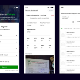 Nigerian Tech Leaders Launch Live-Result Viewing Platform for Gubernatorial Elections
